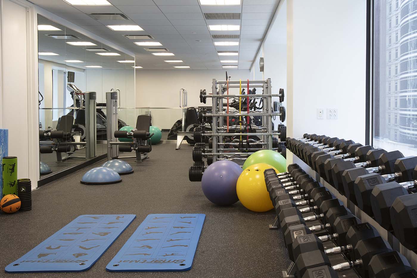 Onsite gym including free weights, weight and cardio machines, and more.